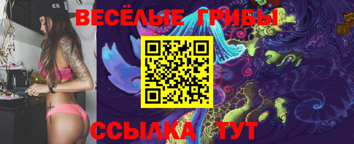 Миллерово  Галлюциногенные грибы Psilocybe  закладки  Вход с VPN 