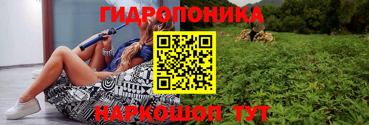 Бошки марихуана Ganja Миллерово